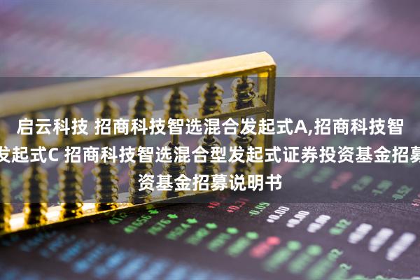 启云科技 招商科技智选混合发起式A,招商科技智选混合发起式C 招商科技智选混合型发起式证券投资基金招募说明书
